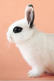 来薅福利！KK官方对战平台创作者福利任务火爆来袭，投稿零门槛好礼拿到手软！